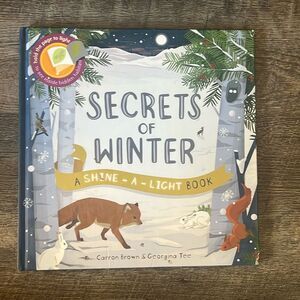 Kane Miller Shine-a-Light Series Secrets of Winter Children’s Flashlight Book